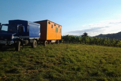 IMG-20150909-WA0004